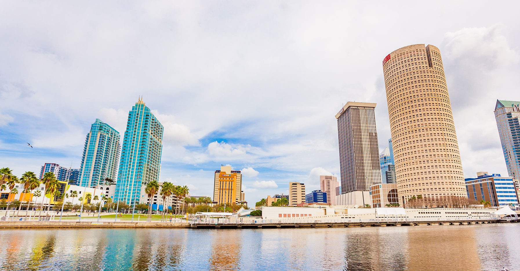 Tampa skyline